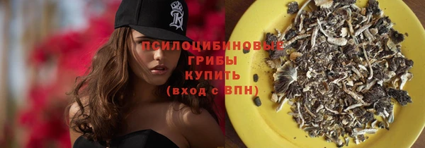 меф Арсеньев