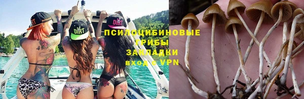 меф Арсеньев