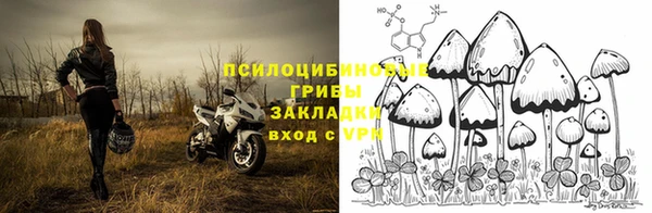 меф Арсеньев