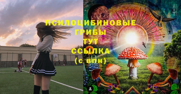 меф Арсеньев